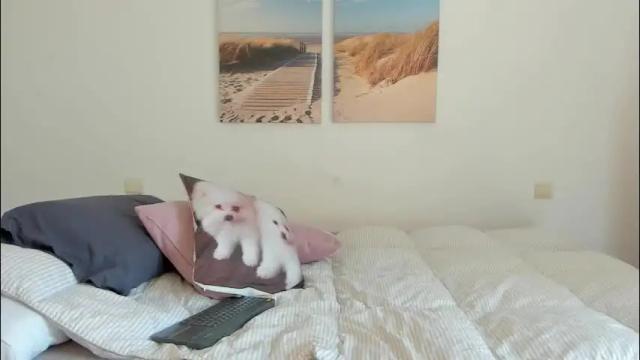 Thumbnail 1, abrilhelena8's Stream at Chaturbate, 1 month ago