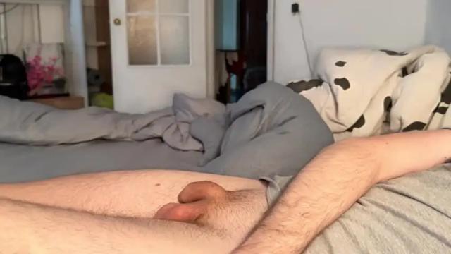 Image 3 of adamevaans Stream on Chaturbate on 20 months ago