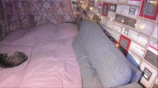 Image 12 of adamsvictory Stream on Chaturbate on 6 days ago