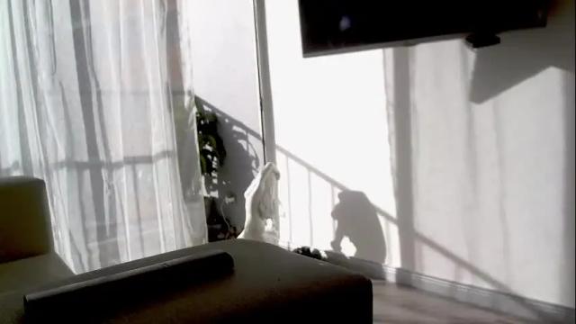 Image 6 of adan_eva960 Stream on Chaturbate on 4 months ago