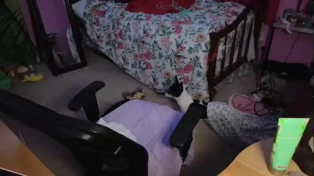 Thumbnail 3, addibabeee's Stream at Chaturbate, 9 days ago