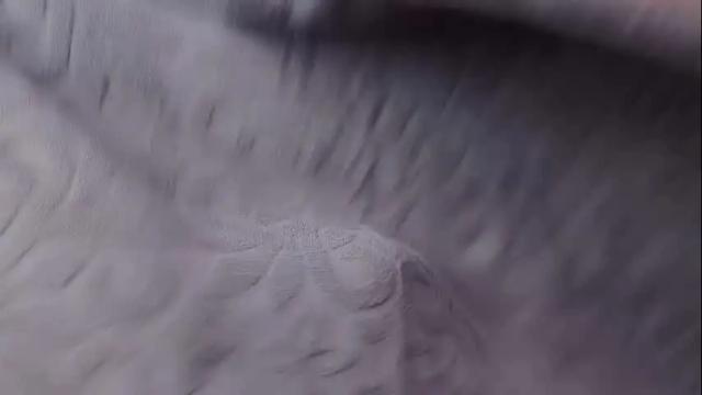 Image 10 of adelheid1 Stream on Chaturbate on 1 month ago