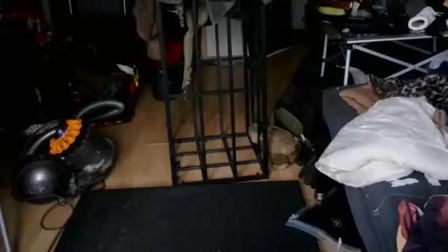 Image 3 of adlinas_s_toy Stream on Chaturbate on 15 months ago