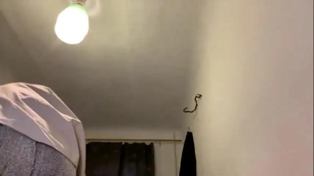 Image 10 of aevra Stream on Chaturbate on 1 month ago