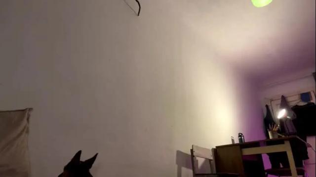 Thumbnail 2, aevra's Stream at Chaturbate, 1 month ago