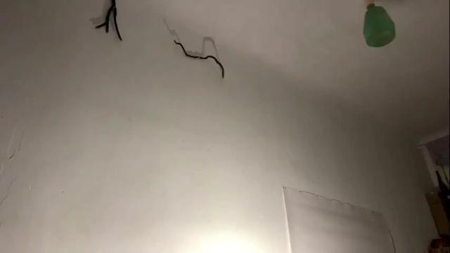 Thumbnail 3, aevra's Stream at Chaturbate, 7 days ago