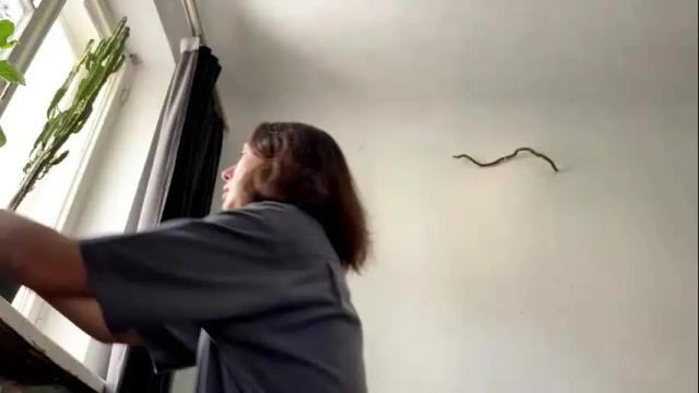 Thumbnail 2, aevra's Stream at Chaturbate, 1 month ago