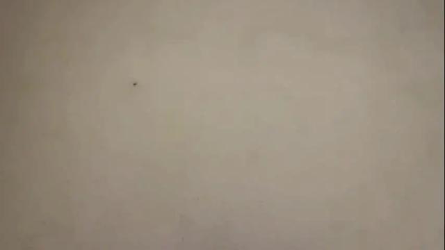 Thumbnail 2, aevra's Stream at Chaturbate, 22 days ago