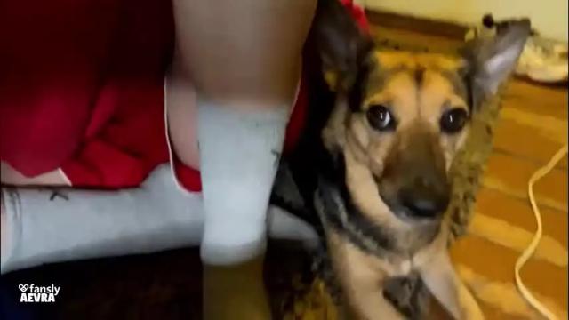 Image 11 of aevra Stream on Chaturbate on 14 days ago