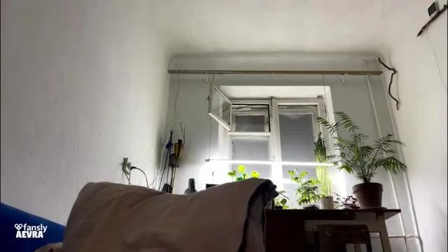 Image 2 of aevra Stream on Chaturbate on 10 days ago