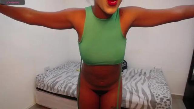 Image 8 of afra_plaves Stream on Chaturbate on 17 months ago