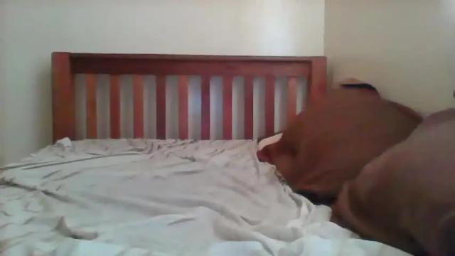 Image 3 of african_princess27 Stream on Chaturbate on 14 months ago