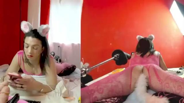 Thumbnail 3, afroditacute16's Stream at Chaturbate, 13 months ago