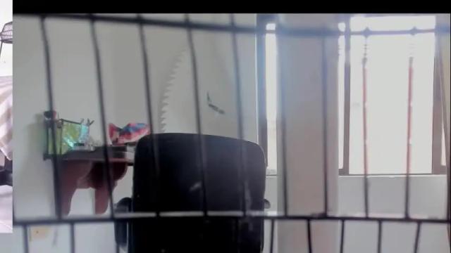 Thumbnail 3, afroditacute16's Stream at Chaturbate, 1 month ago