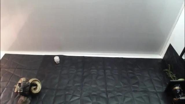 Image 3 of agata_darkness Stream on Chaturbate on 29 days ago