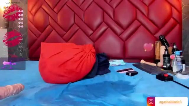 Image 2 of agathablade Stream on Chaturbate on 19 months ago
