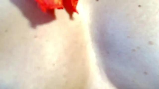 Thumbnail 2, aghata_moon's Stream at Chaturbate, 2 months ago