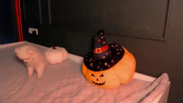 Image 8 of aimeclarks Stream on Chaturbate on 26 months ago