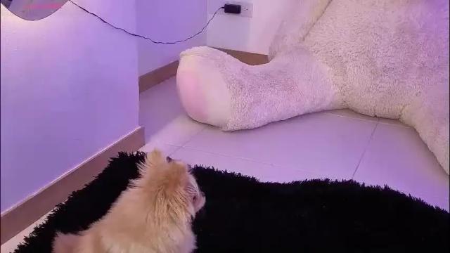 Image 7 of aisha_grace Stream on Chaturbate on 1 month ago