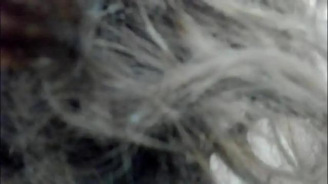 Thumbnail 2, aisharouhi's Stream at Chaturbate, 25 days ago