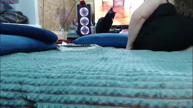 Image 7 of akindmodel Stream on Chaturbate on 1 month ago