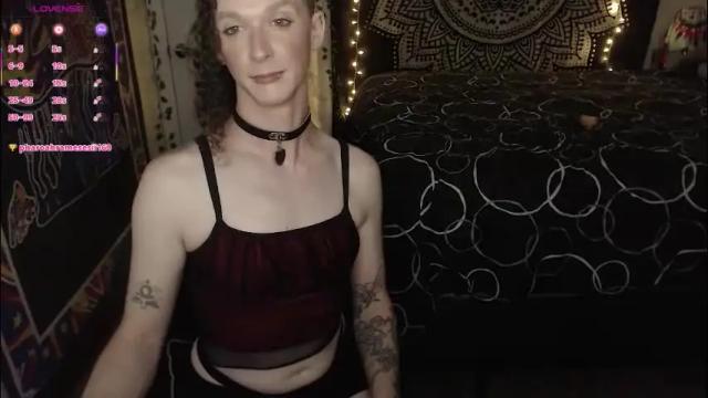 Image 2 of akirasuka Stream on Chaturbate on 2 months ago