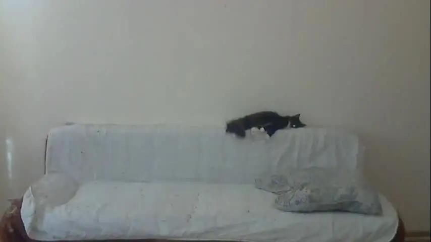 alalaska_ana Chaturbate