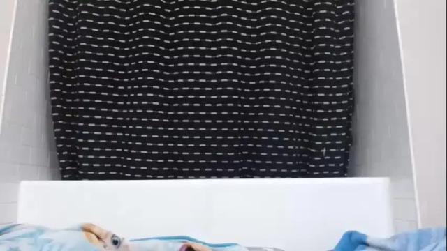 Image 6 of alannarack Stream on Chaturbate on 13 months ago