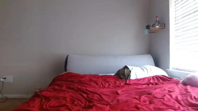 Image 7 of alannarack Stream on Chaturbate on 1 day ago