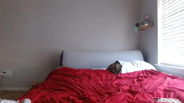 Image 8 of alannarack Stream on Chaturbate on 1 day ago