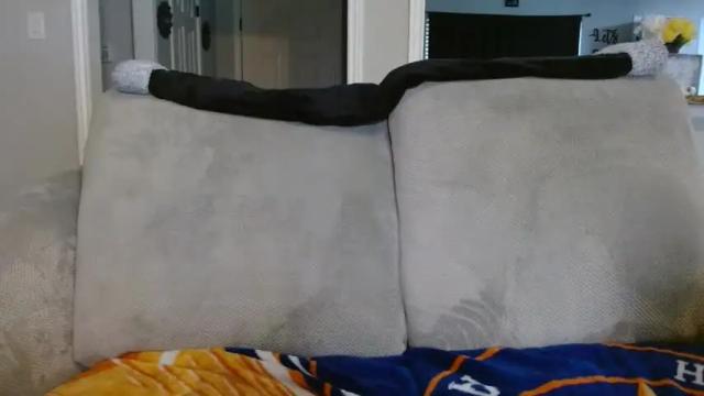 Image 2 of alannarack Stream on Chaturbate on 1 month ago