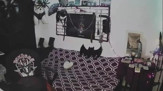 Image 12 of alchemymistic Stream on Chaturbate on 6 months ago