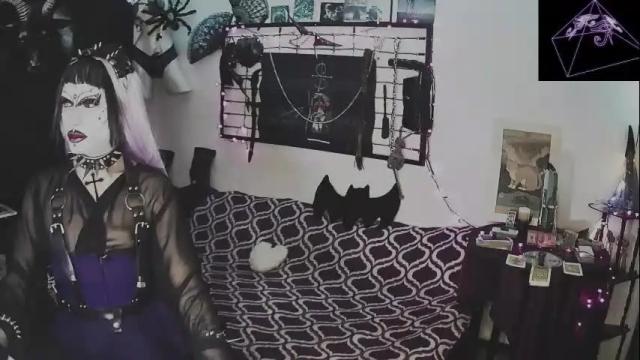 Image 4 of alchemymistic Stream on Chaturbate on 6 months ago