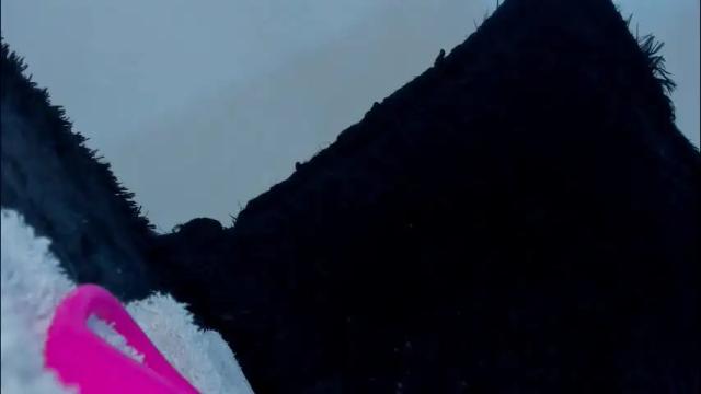 Thumbnail 3, aleja1214's Stream at Chaturbate, 2 months ago