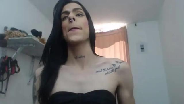 Image 4 of aleja_hornet Stream on Chaturbate on 10 months ago