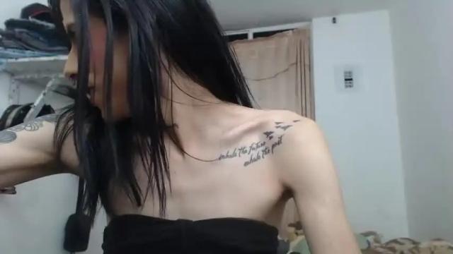 Image 11 of aleja_hornet Stream on Chaturbate on 14 months ago