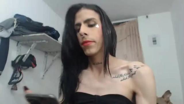 Image 3 of aleja_hornet Stream on Chaturbate on 14 months ago