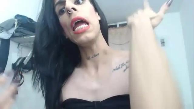 Image 4 of aleja_hornet Stream on Chaturbate on 14 months ago