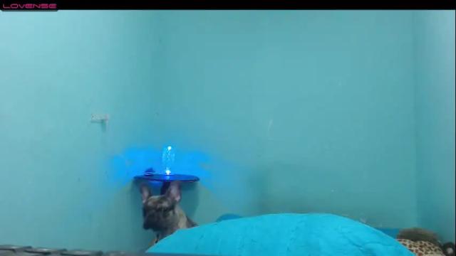 Thumbnail 3, aleja_hornet's Stream at Chaturbate, 1 month ago