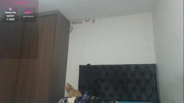 Image 3 of aleja_hornet Stream on Chaturbate on 21 days ago