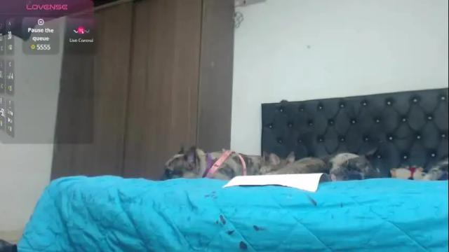 Image 7 of aleja_hornet Stream on Chaturbate on 21 days ago
