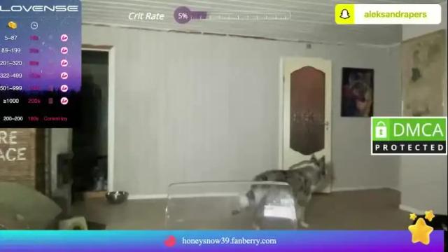 Image 10 of aleksandra21 Stream on Chaturbate on 1 month ago
