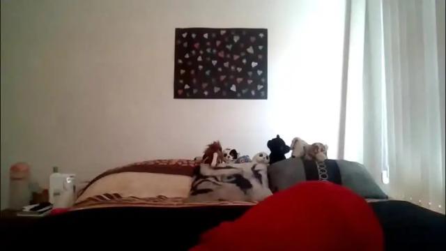 Thumbnail 3, alessandraconrado's Stream at Chaturbate, 1 day ago