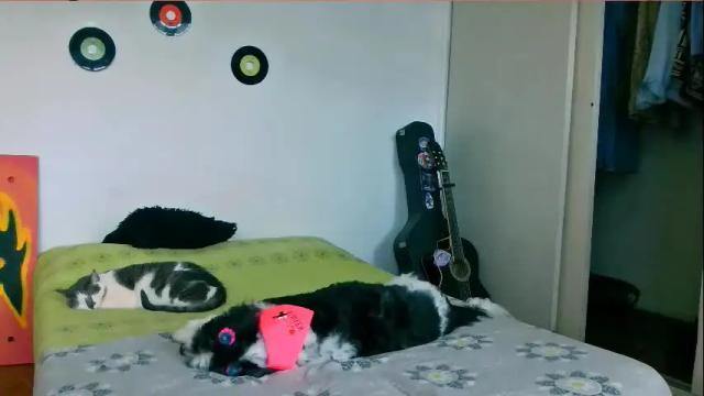 Image 6 of alex_one888 Stream on Chaturbate on 14 days ago