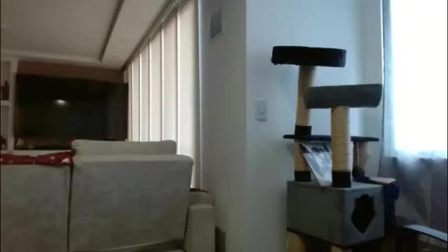 Image 2 of alex_parker07 Stream on Chaturbate on 1 month ago