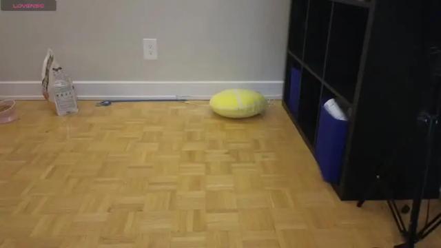 Thumbnail 2, alexa_dream's Stream at Chaturbate, 1 month ago