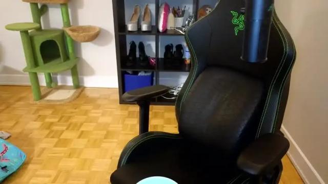 Image 10 of alexa_dream Stream on Chaturbate on 12 days ago