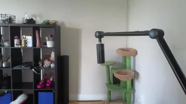 Image 2 of alexa_dream Stream on Chaturbate on 9 days ago