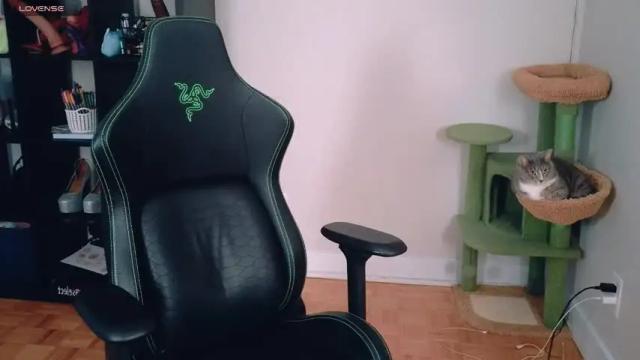 Thumbnail 1, alexa_dream's Stream at Chaturbate, 20 days ago