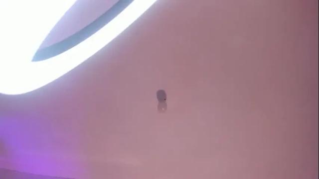 Image 4 of alexa_star1 Stream on Chaturbate on 5 months ago